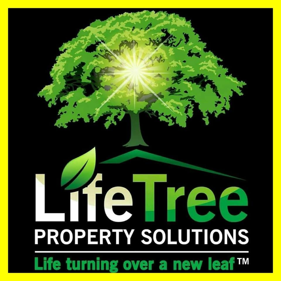 Photo of LifeTree Property Solutions