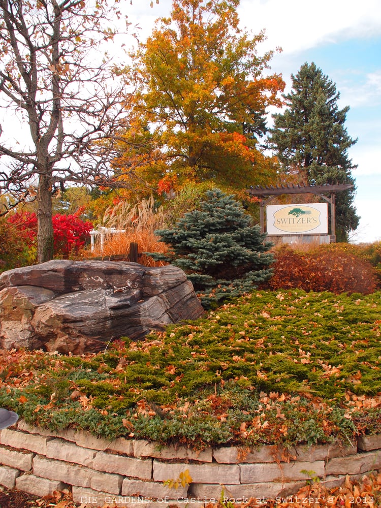 Photo of Switzer's Nursery & Landscaping, Inc