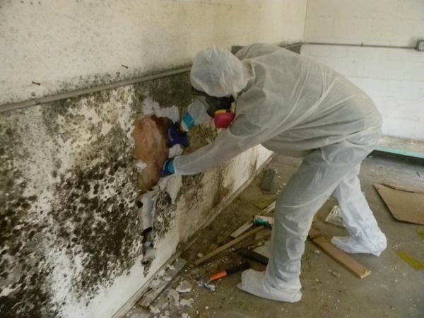 Photo of Bergo Environmental Services