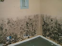 Photo of Bergo Environmental Services