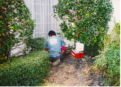 Photo of All Texas Foundation Repair