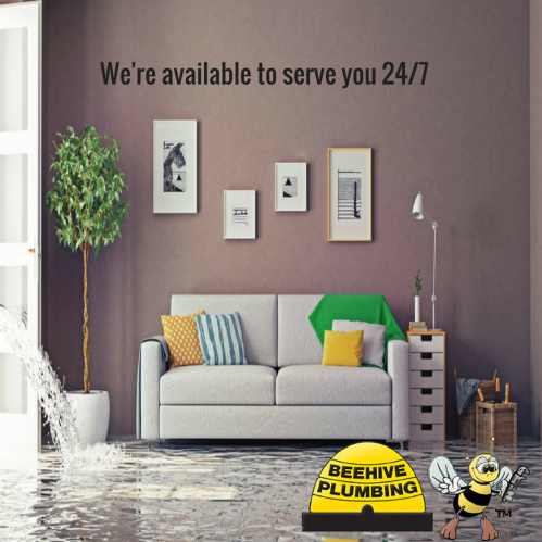 Photo of Beehive Plumbing Centerville