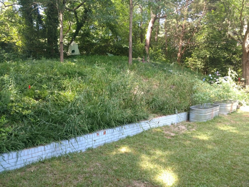Photo of Organic Lawn Solutions