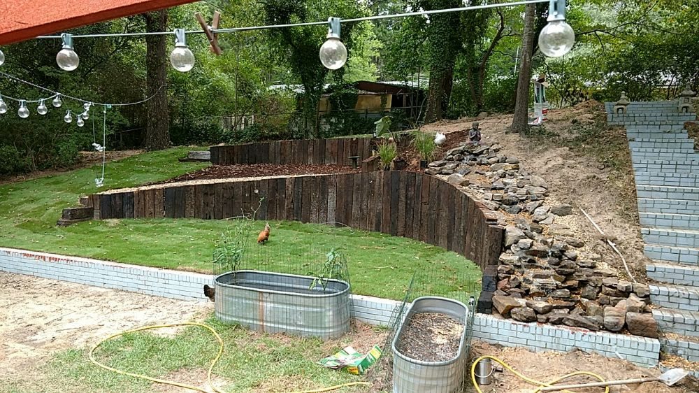 Photo of Organic Lawn Solutions