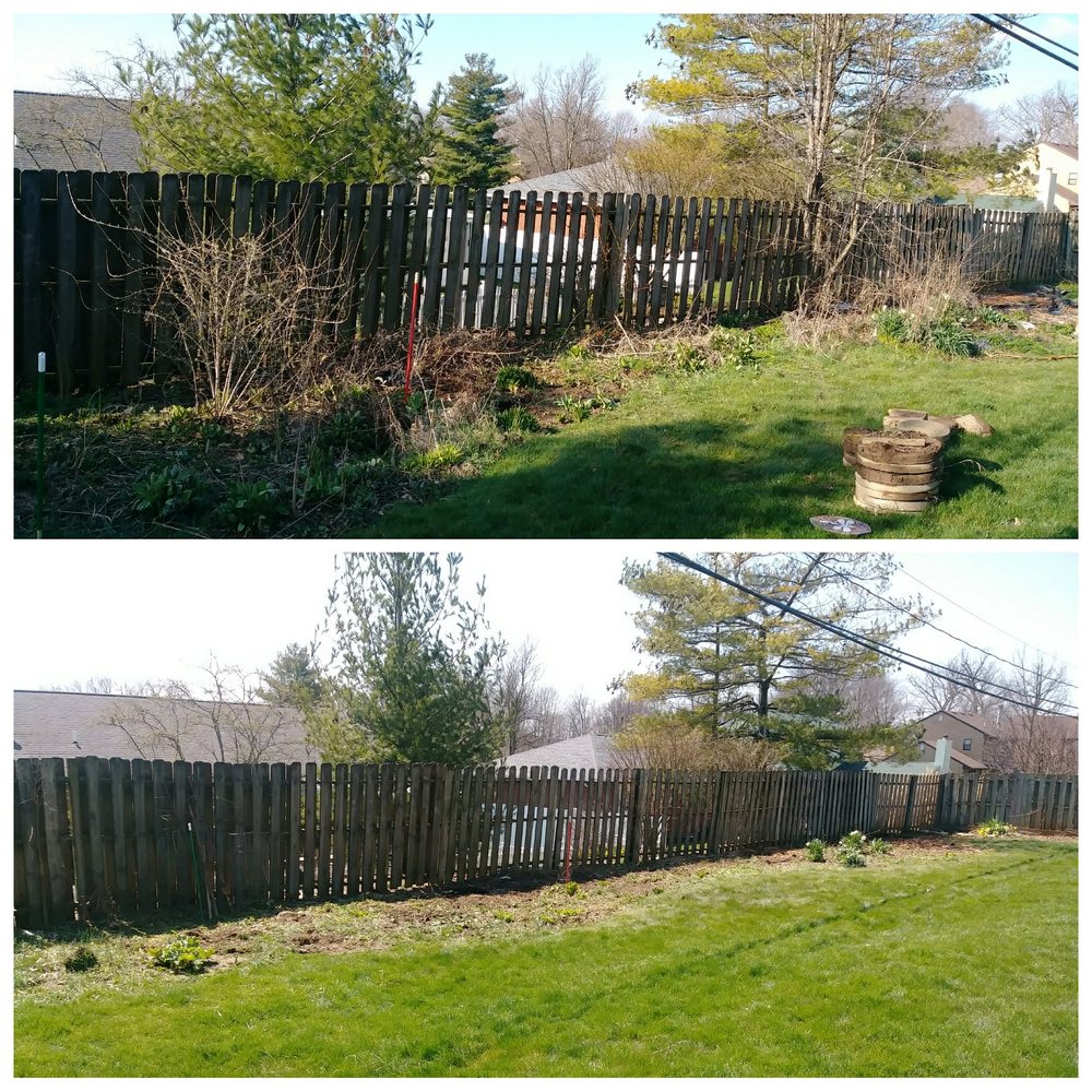 Photo of Ohio Stump Grinding