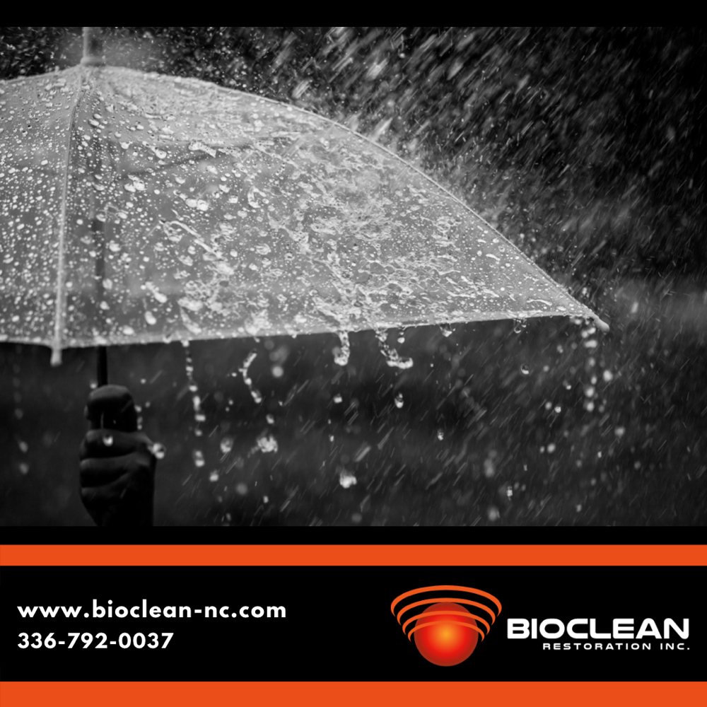 Photo of Bioclean Restoration