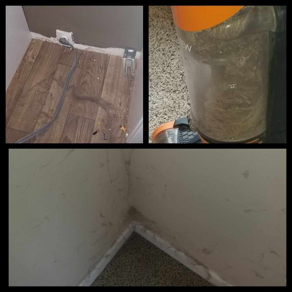 Photo of Spotless Therapy Cleaning Services
