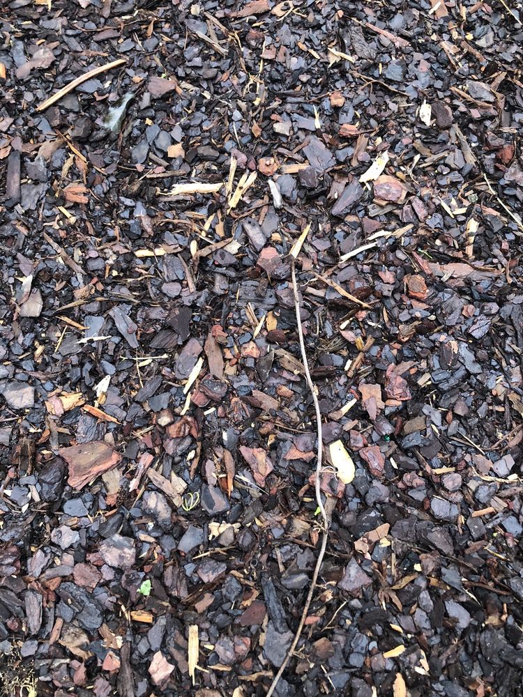 Photo of Sand'N Soil