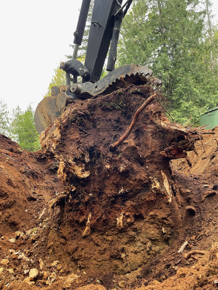Photo of Baxter's Excavation & Tree Removal