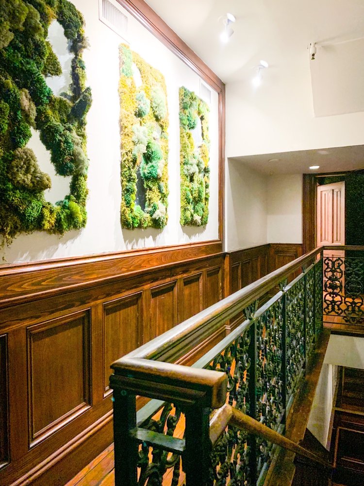 Photo of Copper Vine