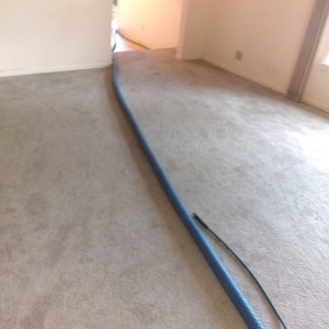 Photo of Carpet Sparkle Carpet Cleaning
