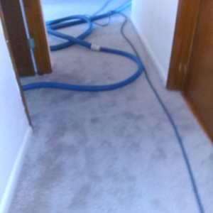 Photo of Carpet Sparkle Carpet Cleaning