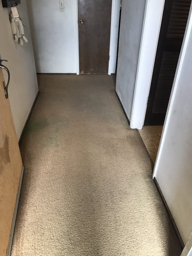 Photo of West Coast Floor Cleaning Professionals