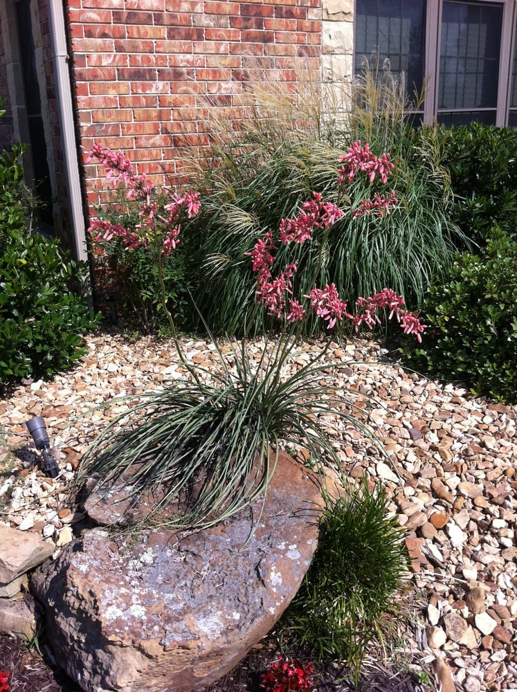 Photo of All Seasons Landscape Management