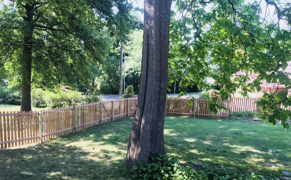 Photo of Mac's Fence