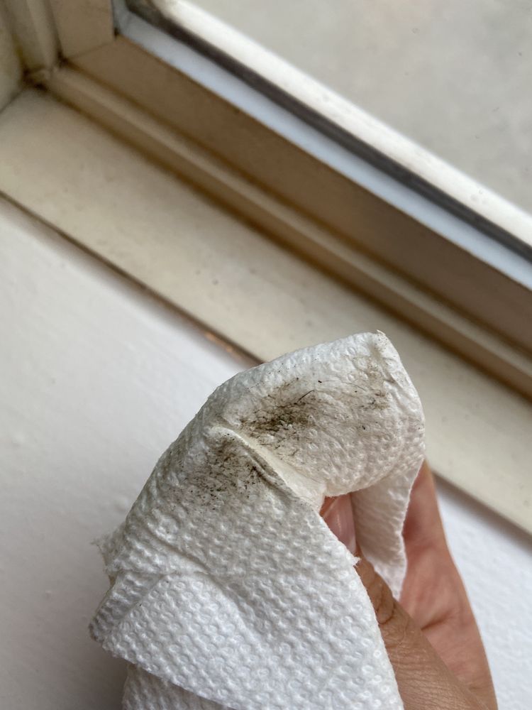 Photo of Maid In House