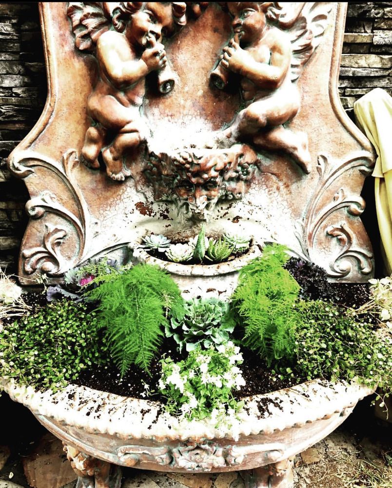 Photo of Fire & Flora