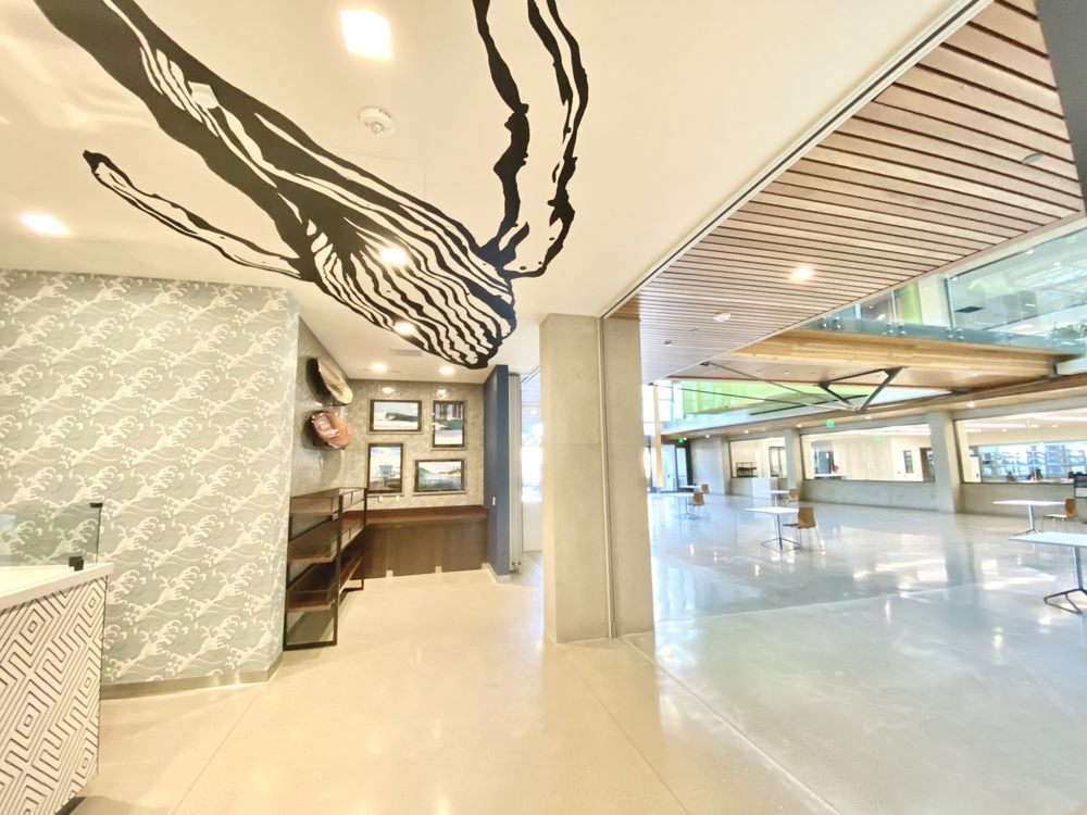 Photo of Iconik Builders