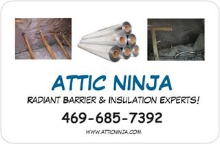 Photo of Attic Ninja