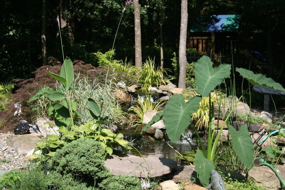 Photo of Barnhardt Landscaping & Design