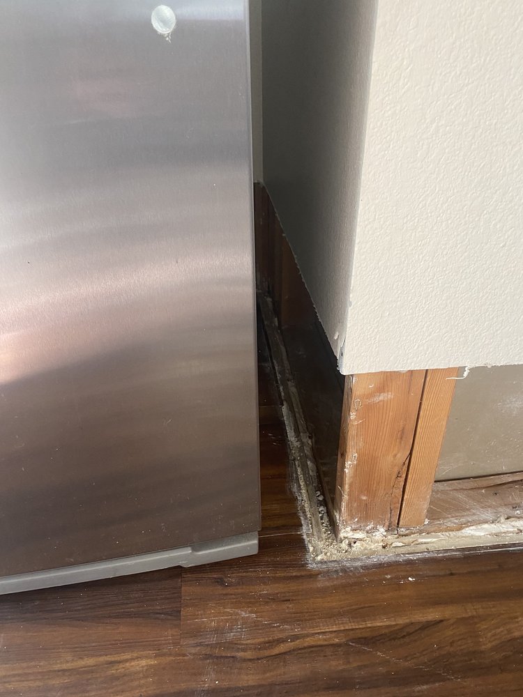Photo of Anywhere Restoration Services