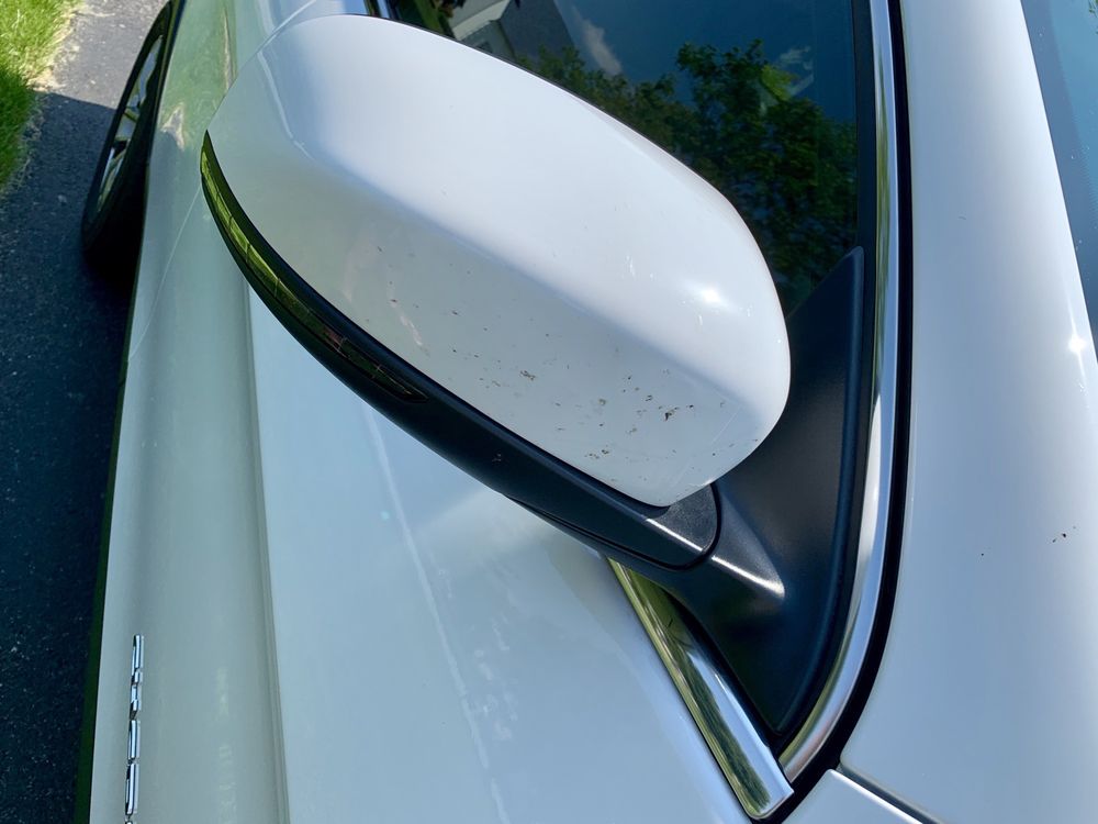 Photo of Five Points Carwash and Detail