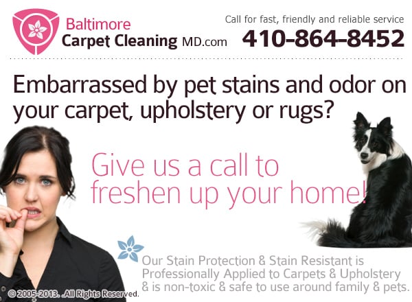 Photo of eMDi Carpet Cleaning