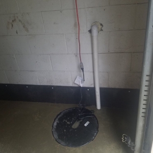 Jeannette Champion Waterproofing