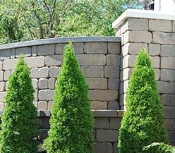 Photo of Oxford Landscaping