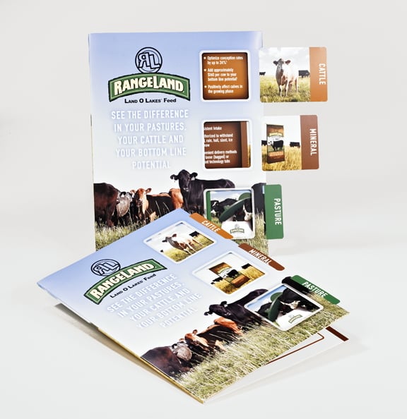 Photo of I Dream Solutions
