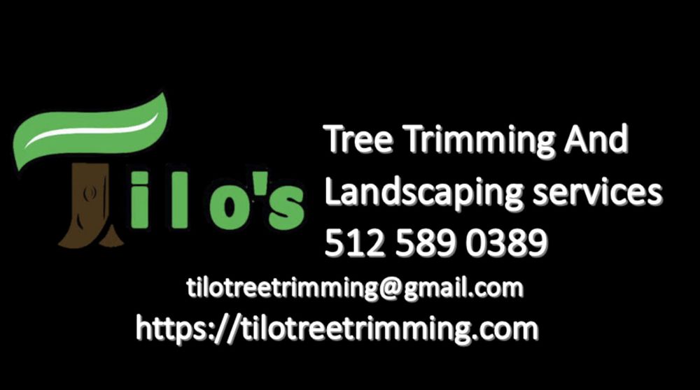 Photo of Tilo's Tree Trimming Services