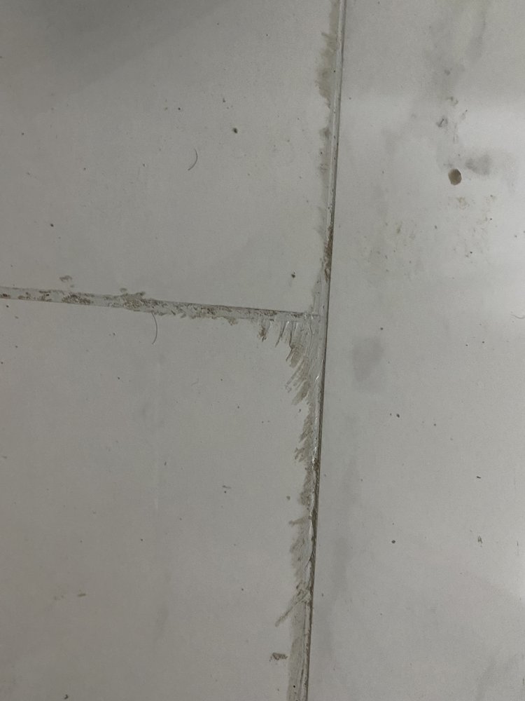 Photo of Gators Custom Tile