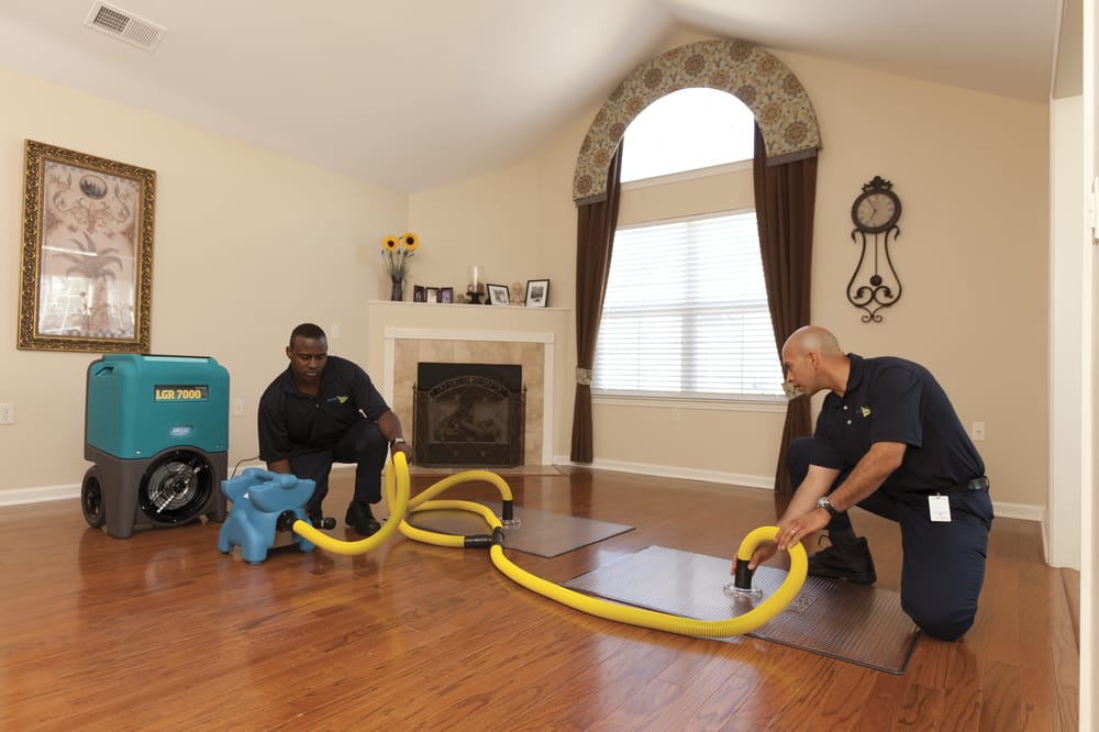 Photo of ServiceMaster of Troy
