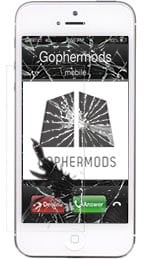 Photo of Gophermods - Plymouth
