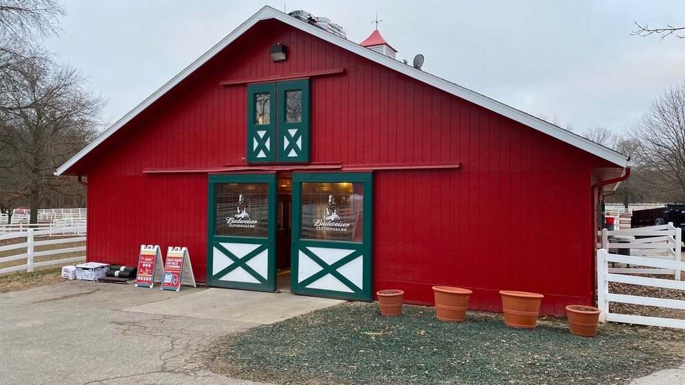 Photo of Bull Exteriors