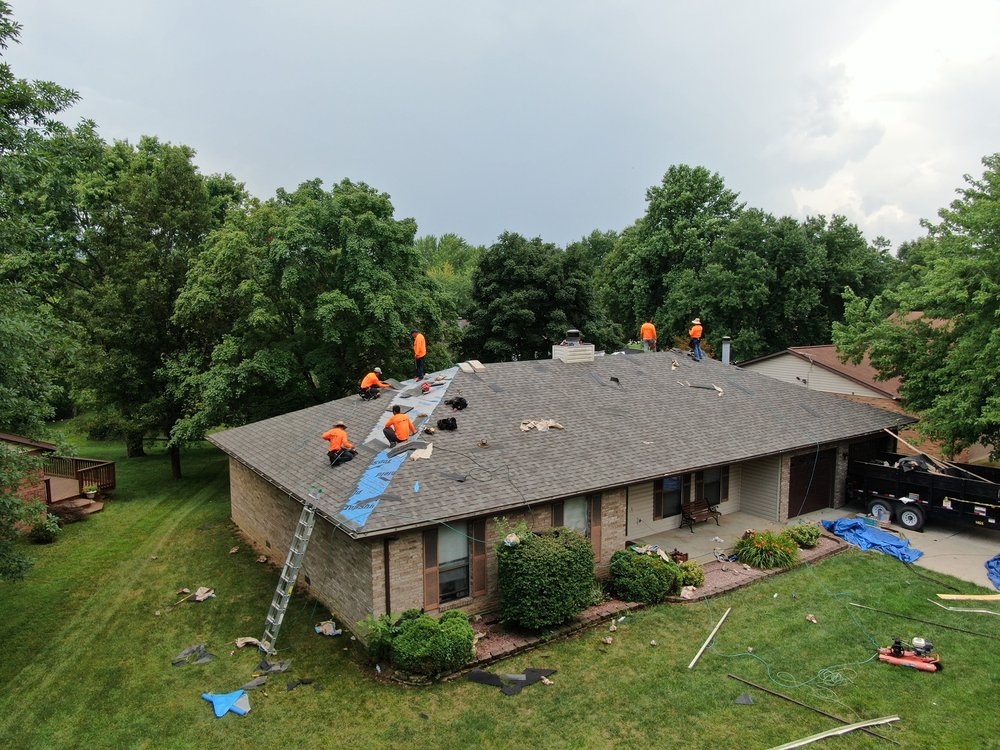 Photo of Bull Exteriors
