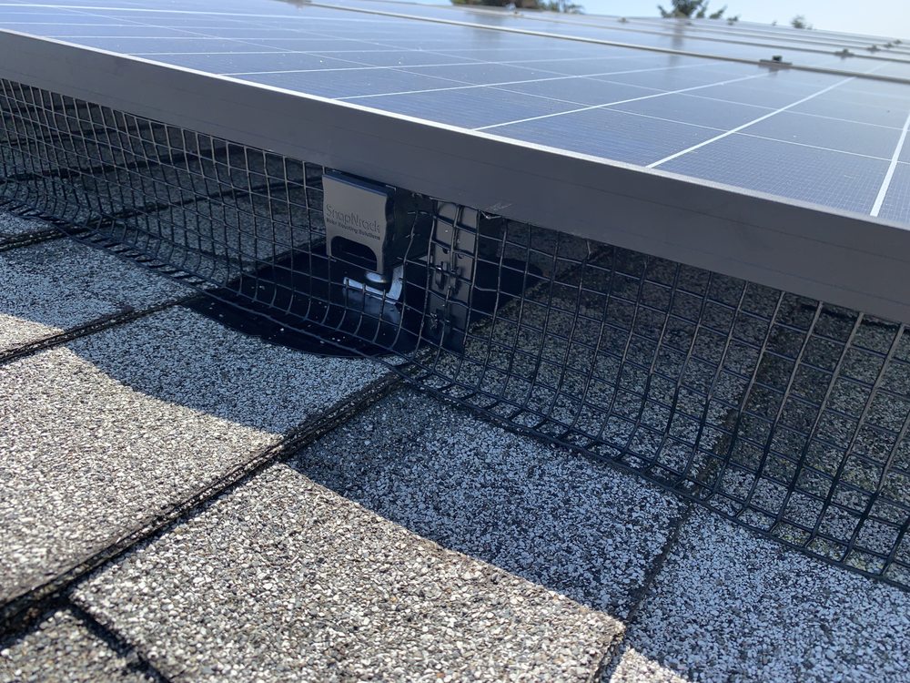 Photo of Infinium Solar