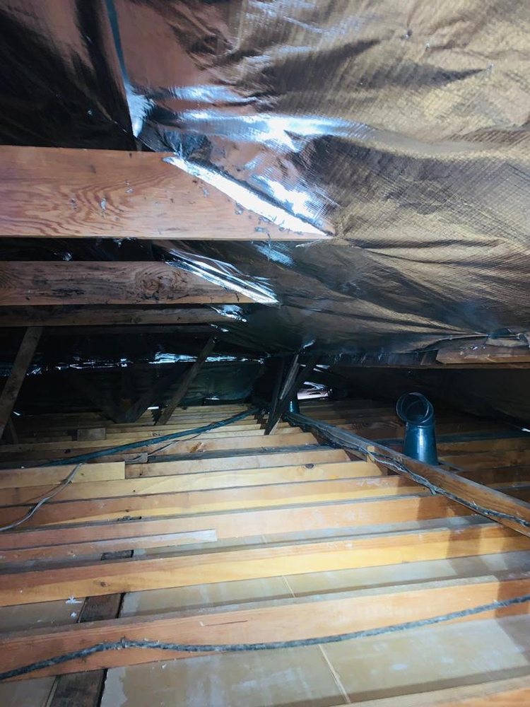 Photo of Attic Star