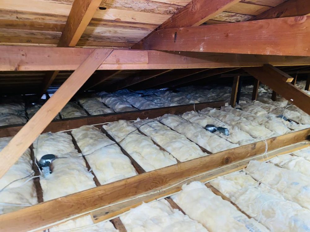 Photo of Attic Star