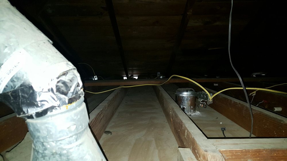 Photo of Attic Star