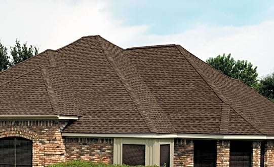 Photo of 512 ROOFS