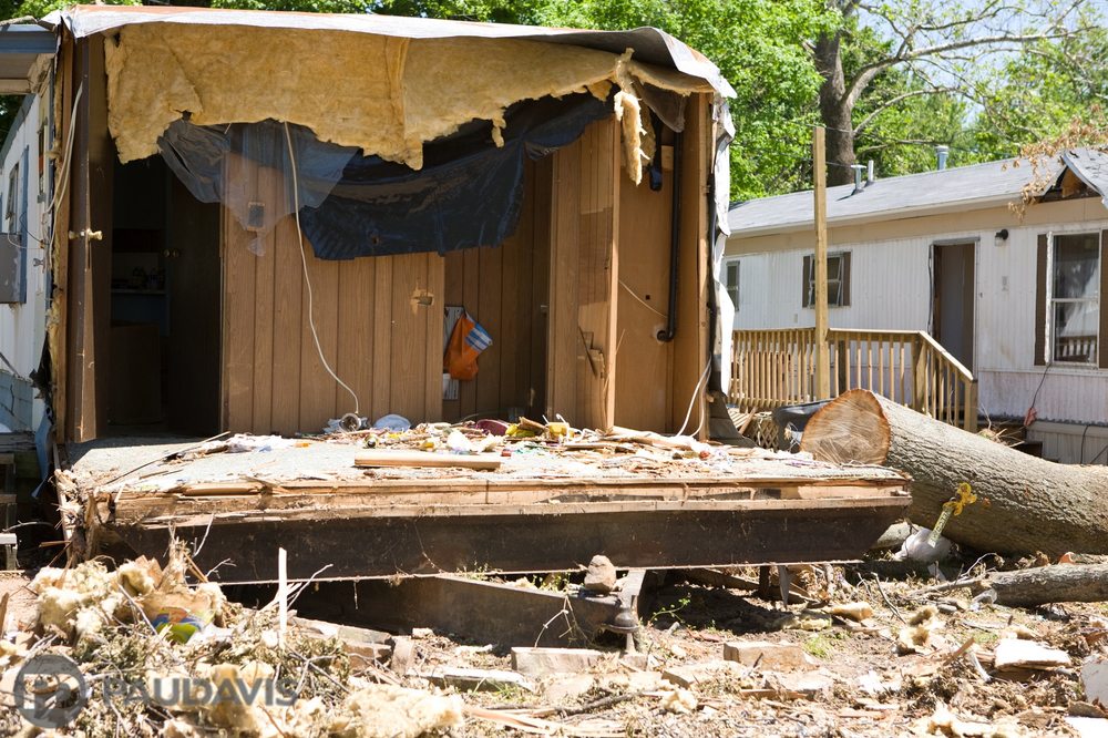 Photo of Paul Davis - North Dallas