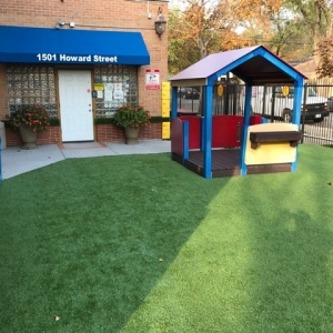 Photo of SYNLawn Chicago