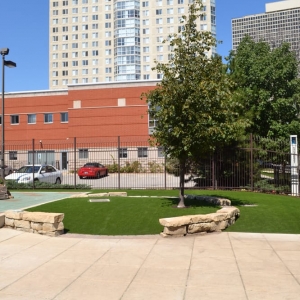 Photo of SYNLawn Chicago