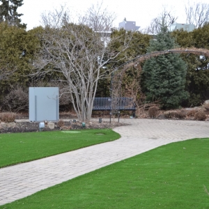 Photo of SYNLawn Chicago