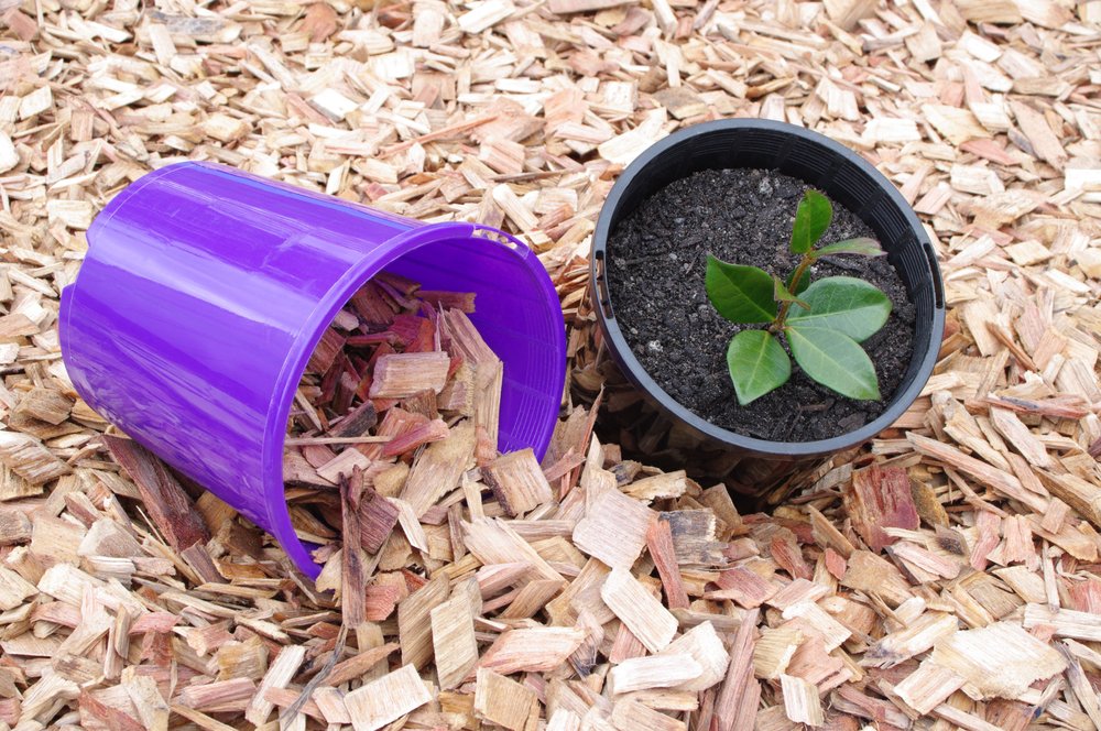 Photo of Mulch and Stone L.L.C. Of Charlette