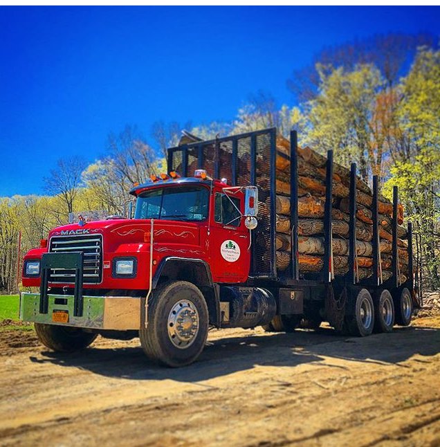 Photo of Filli's Forest Products