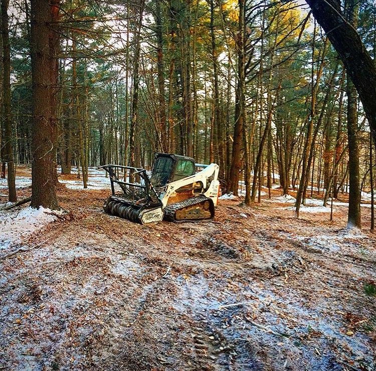 Photo of Filli's Forest Products