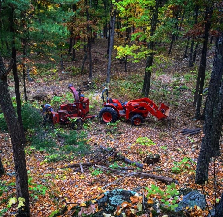 Photo of Filli's Forest Products