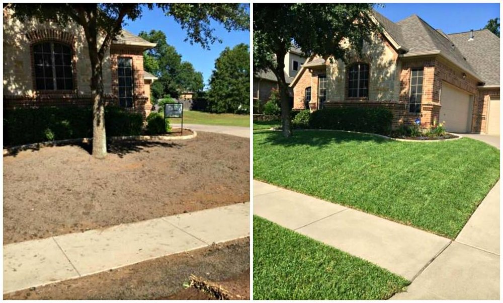 Photo of The Chowtreez Landscaping Full Lawn Services